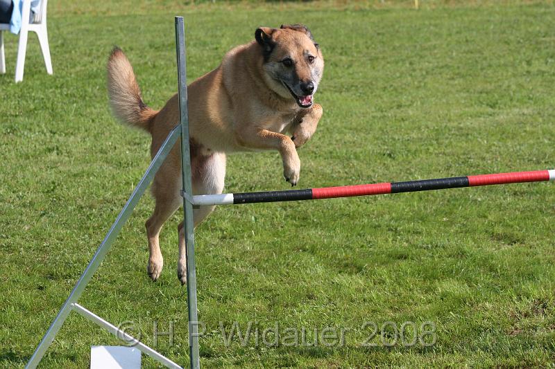 jubil.lusten. 130.jpg